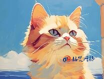 常见的通用顶级域包括哪些？分别代表什么意思？