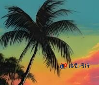 俄罗斯数据中心的优势与劣势分析