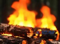 加入亚马逊卖货的流程总结