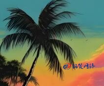 2025年国内企业如何做好网站SEO优化工作？